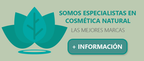 En nuestra web